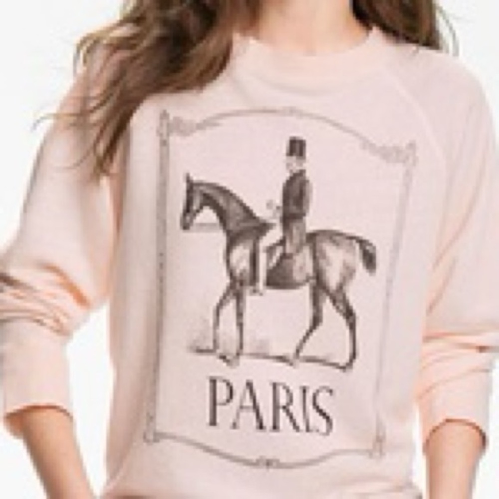 Wildfox Vintage Paris Sweatshirt Carnation Pink 1800s L